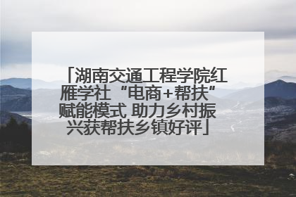 湖南交通工程学院红雁学社“电商+帮扶”赋能模式 助力乡村振兴获帮扶乡镇好评